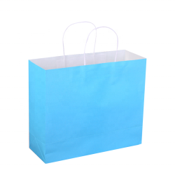 Custom Print Kraft Paper Shopping Gift Bag with Custom Logo